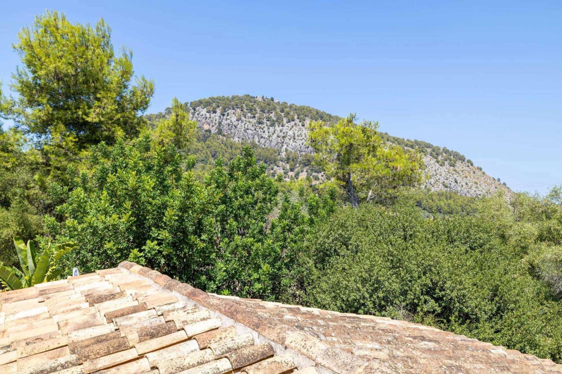 Verd Villa Pollensa