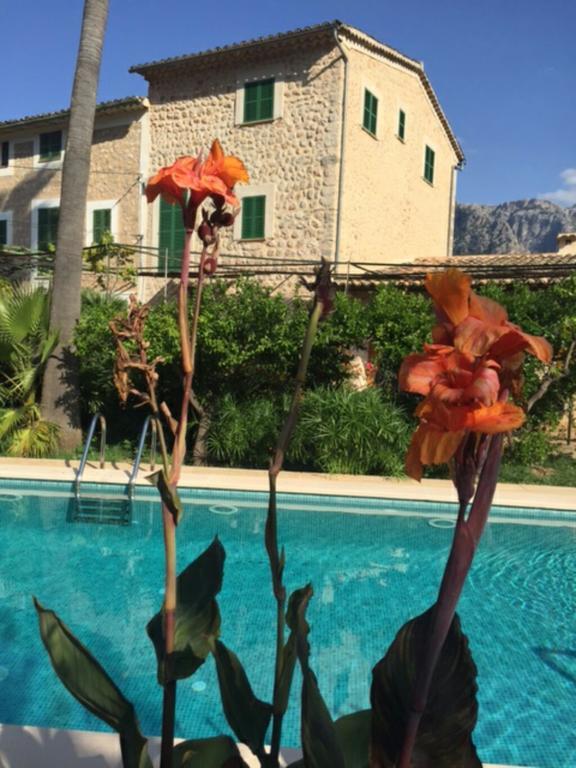 Can Toni De S'hort Сasa de vacaciones