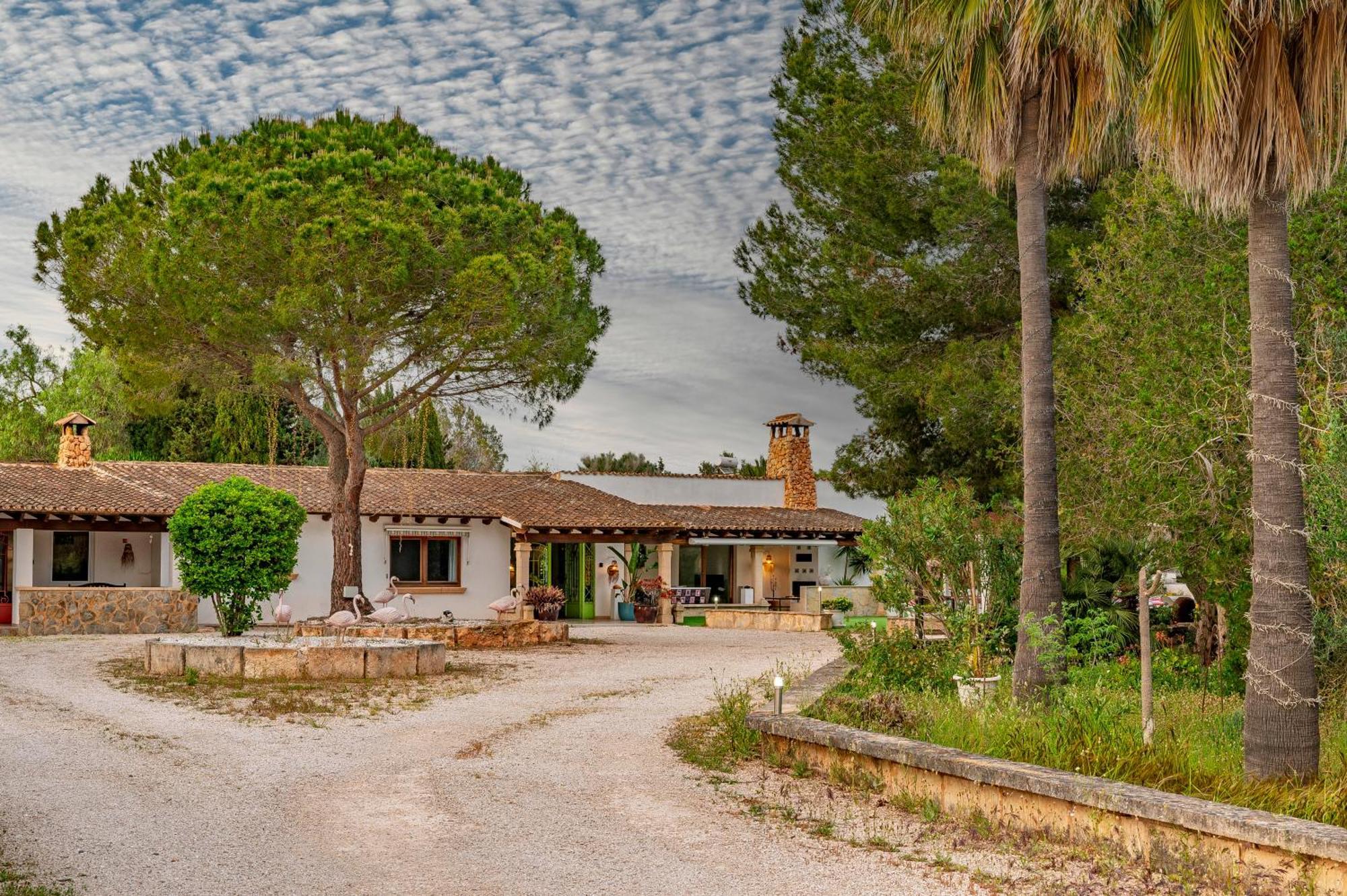 Del Artista Super Lujo Villa