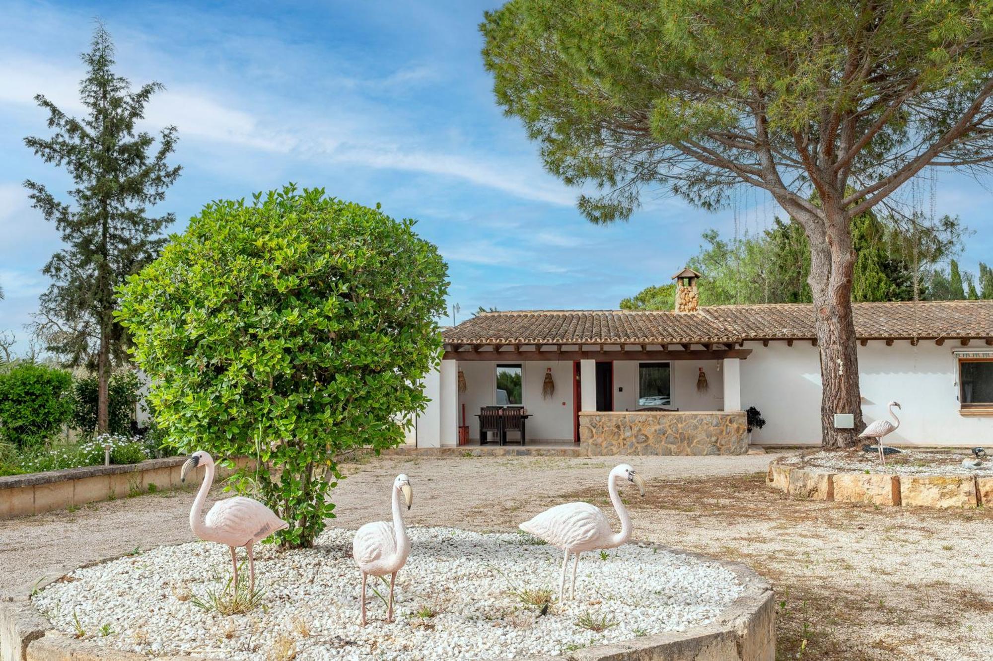 Del Artista Super Lujo Llucmajor (Mallorca)