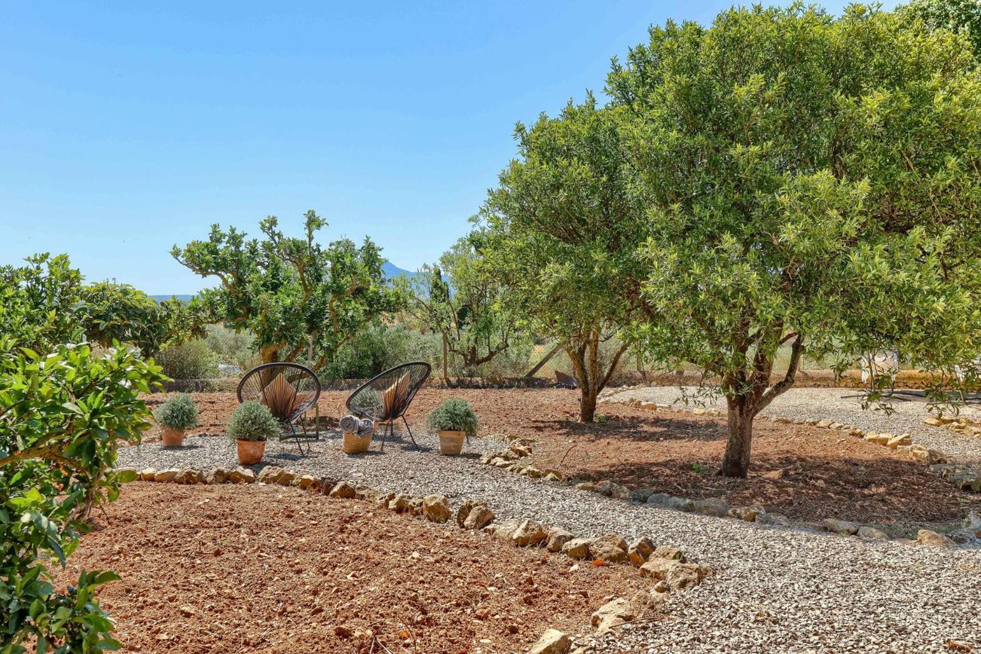 Son Valls - Adults Only Fenalitx (Fenalich)