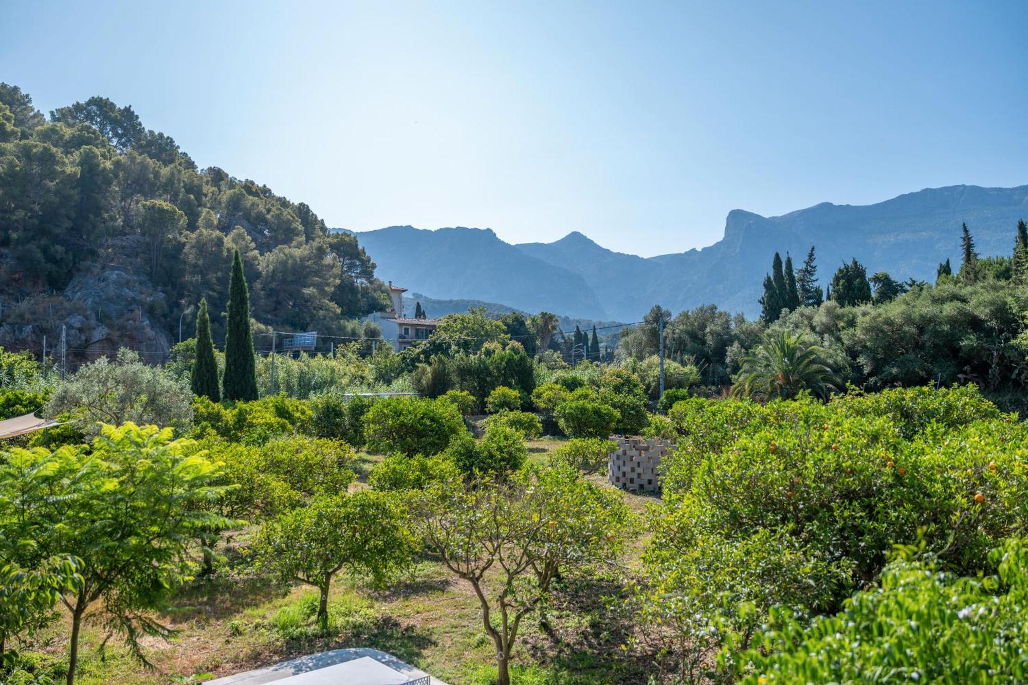 Villa Finca es Verger des Port *