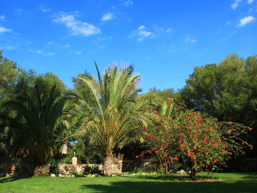 Rural Predio Son Serra Country house *
