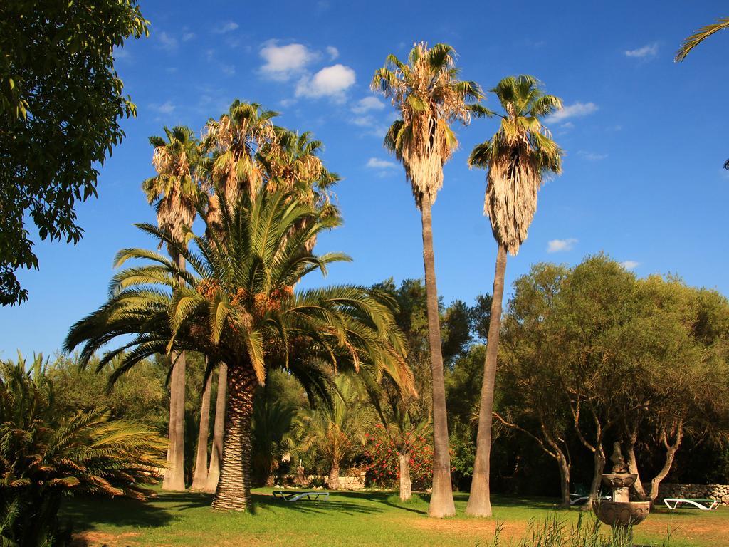 Rural Predio Son Serra Country house Can Picafort (Mallorca)