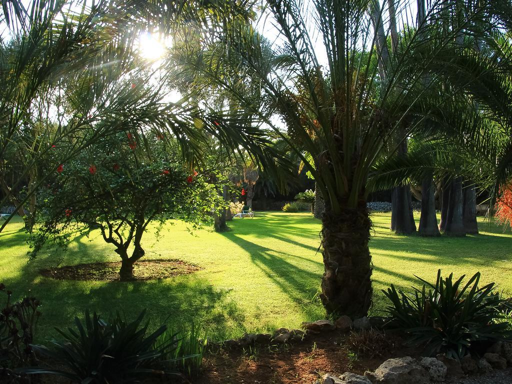 Rural Predio Son Serra Country house *