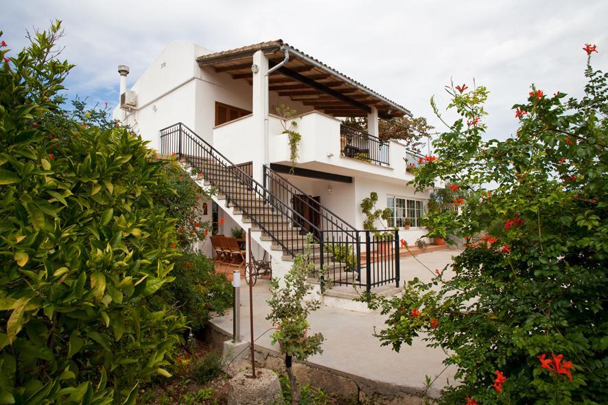 Joana Villa *