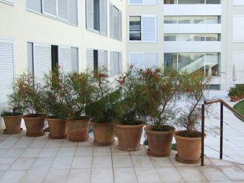 Apartmentos Arcadias *