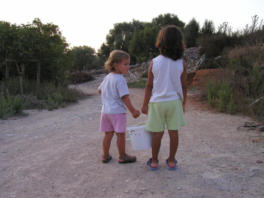 Country house Finca Sabor Montuiri (Mallorca)