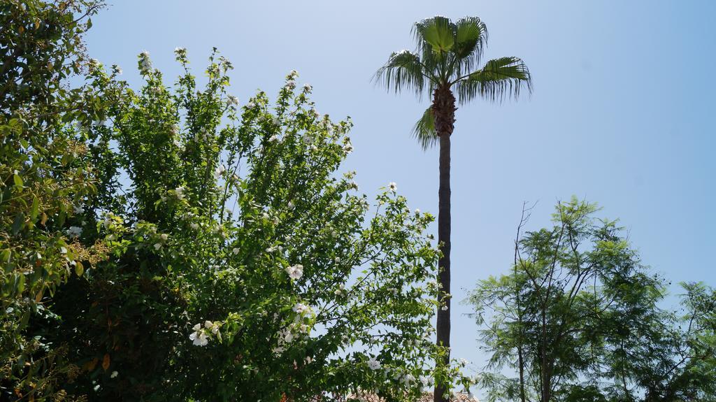Casa Gema *