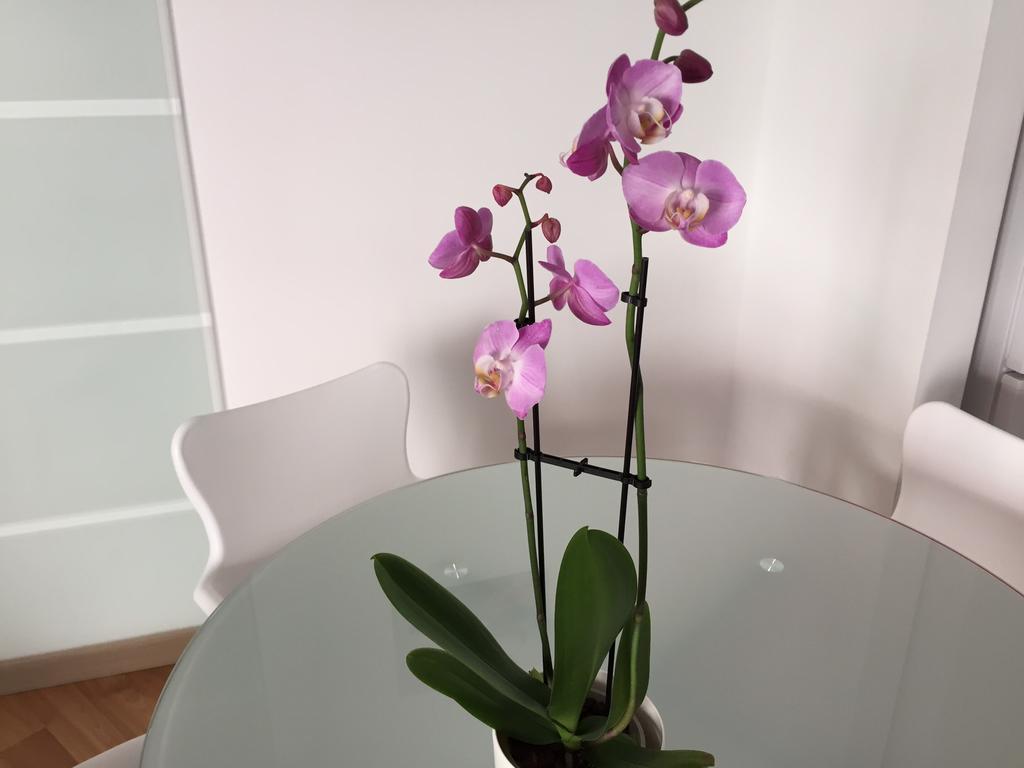 Residencial Valldemossa - Turismo De Interior Apartamento *