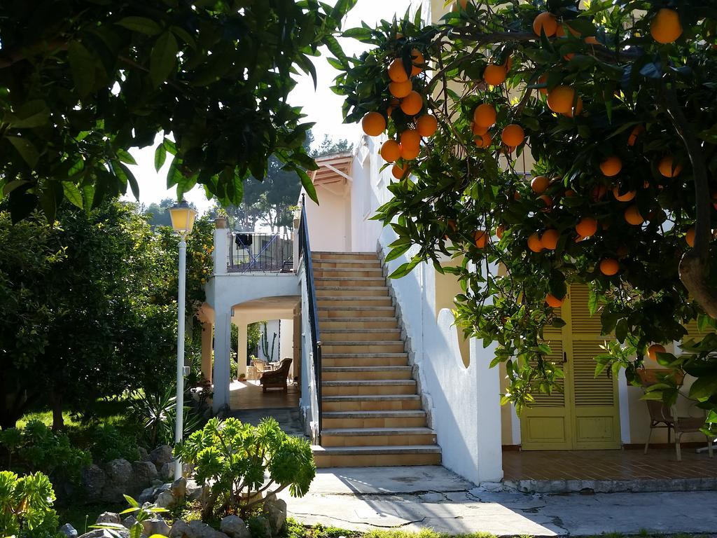 Guest house Flor Amistad Peguera
