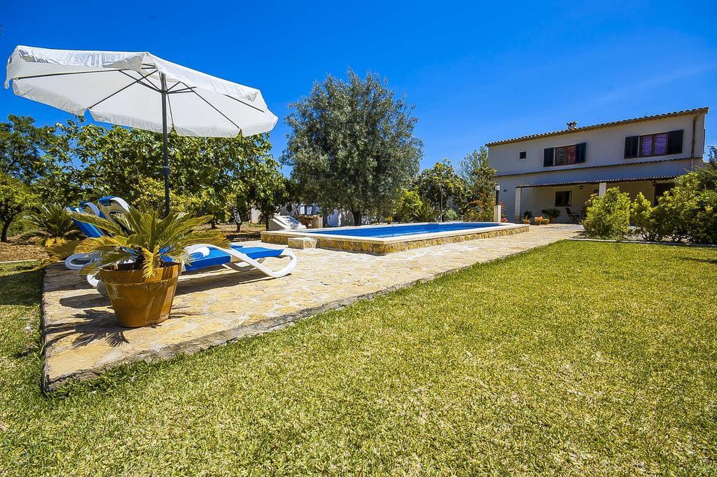 La Palmera Villa