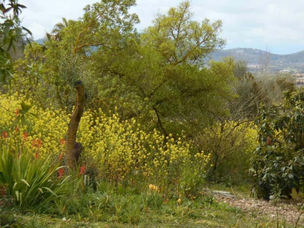 Houpla Sol Holiday home Manacor (Mallorca)