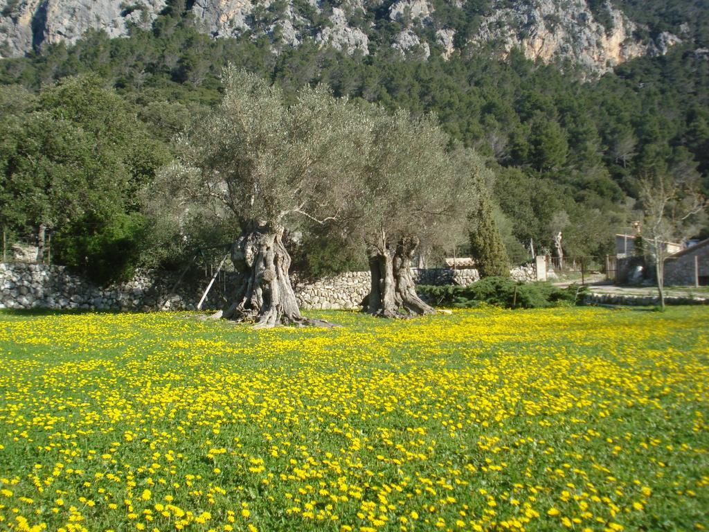S'Era Vella Bunyola (Buñola)