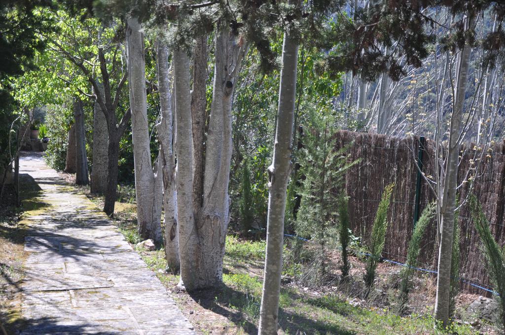 Sa Capsana Valldemossa (Mallorca)
