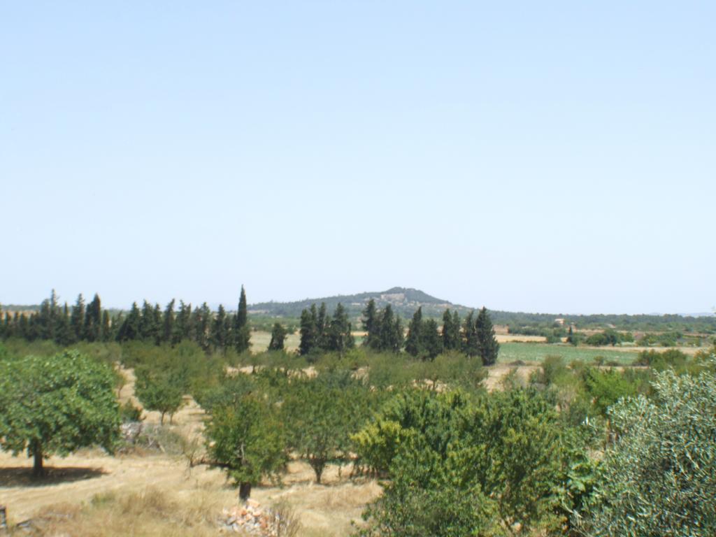 Es Lladoner