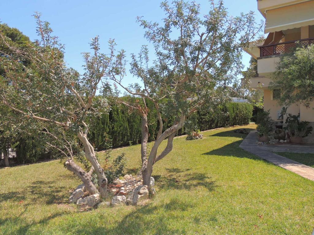 Rand Villa Llucmajor (Mallorca)