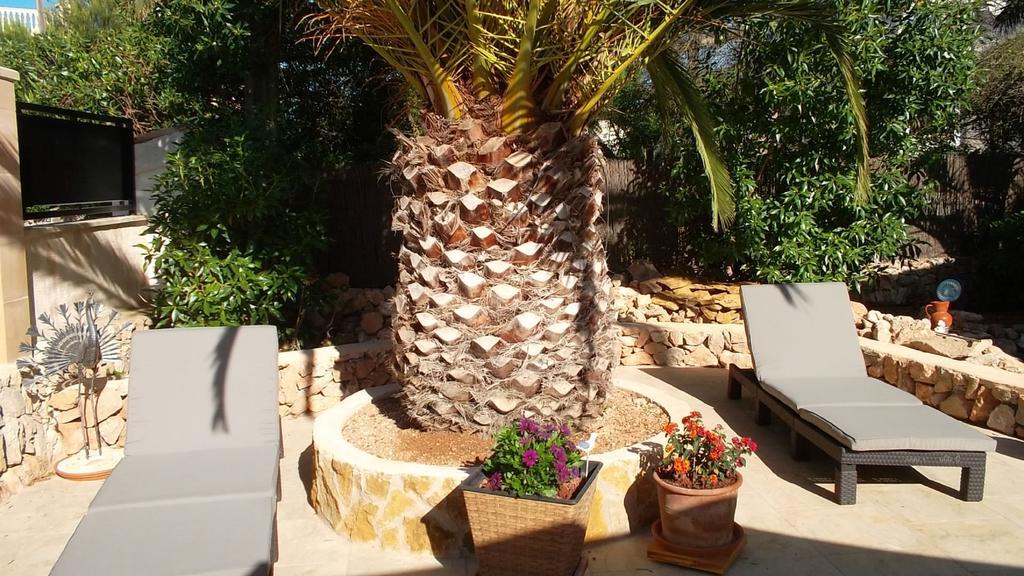 Laika * Cala Pi (Mallorca)