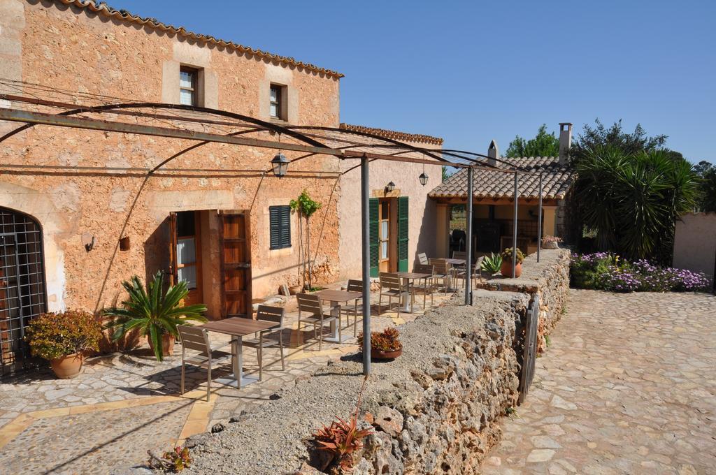 Porreti Lloret de Vistalegre