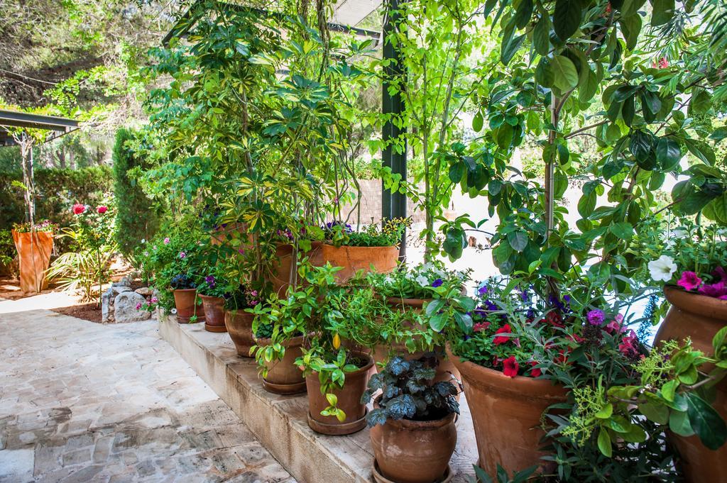 Apartamento Cala Murada Minigolf Cala Murada (Mallorca)