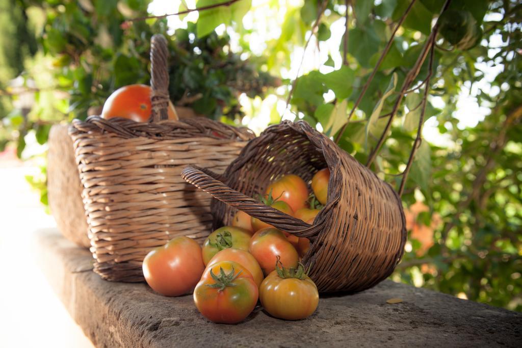 Country house Perola - Only Adults
