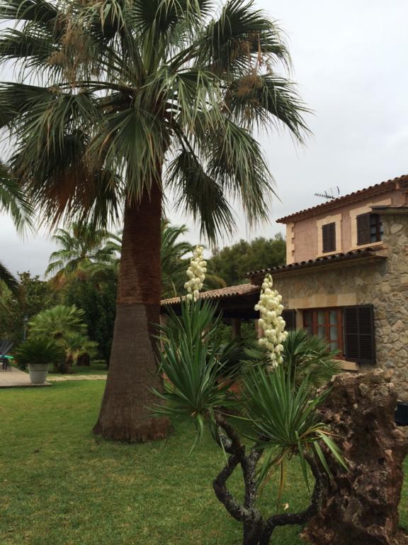 Guest house Jardi De Papallones