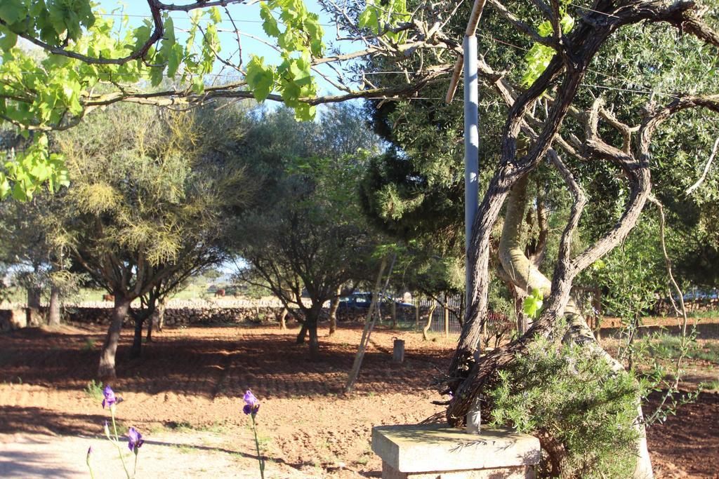 Villa Finca Es Tres Pins *