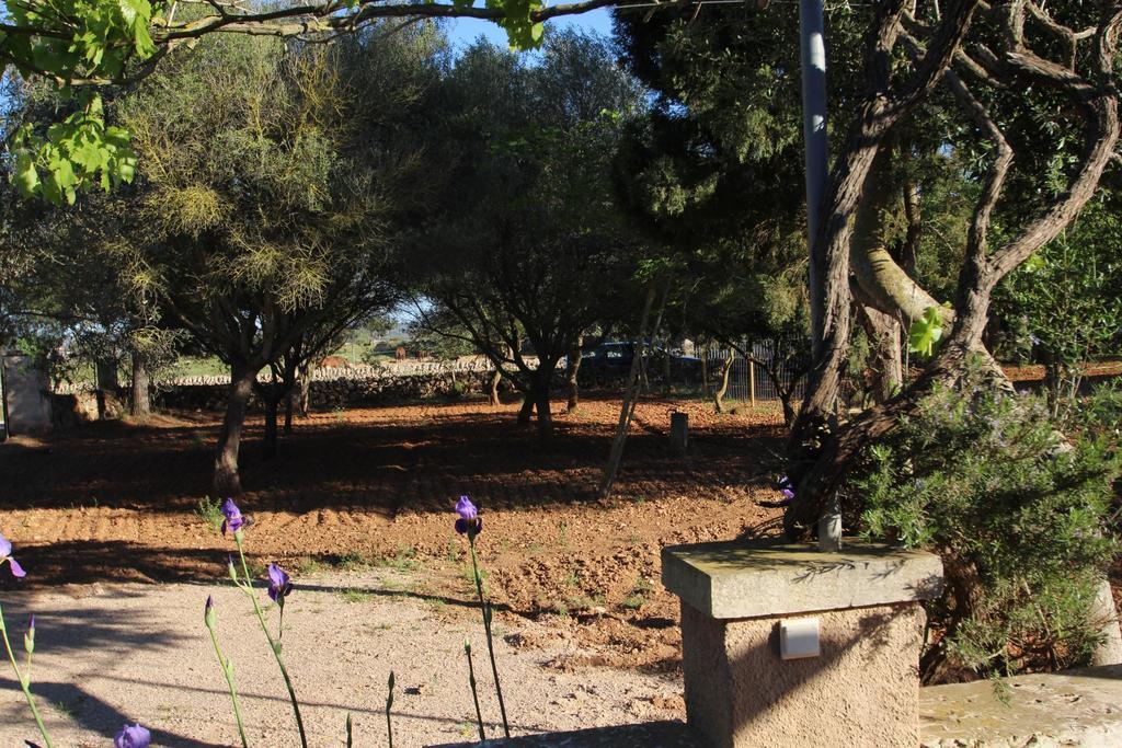 Villa Finca Es Tres Pins Campos (Mallorca)