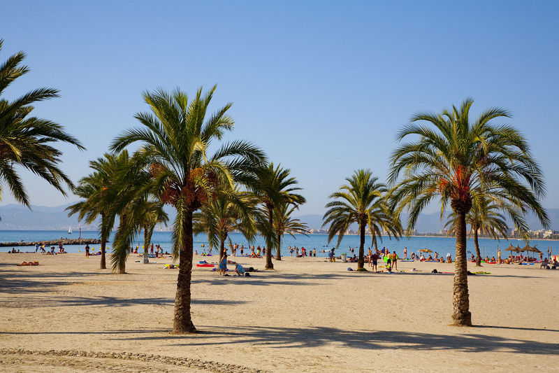 Whala!beach Hotel 3*