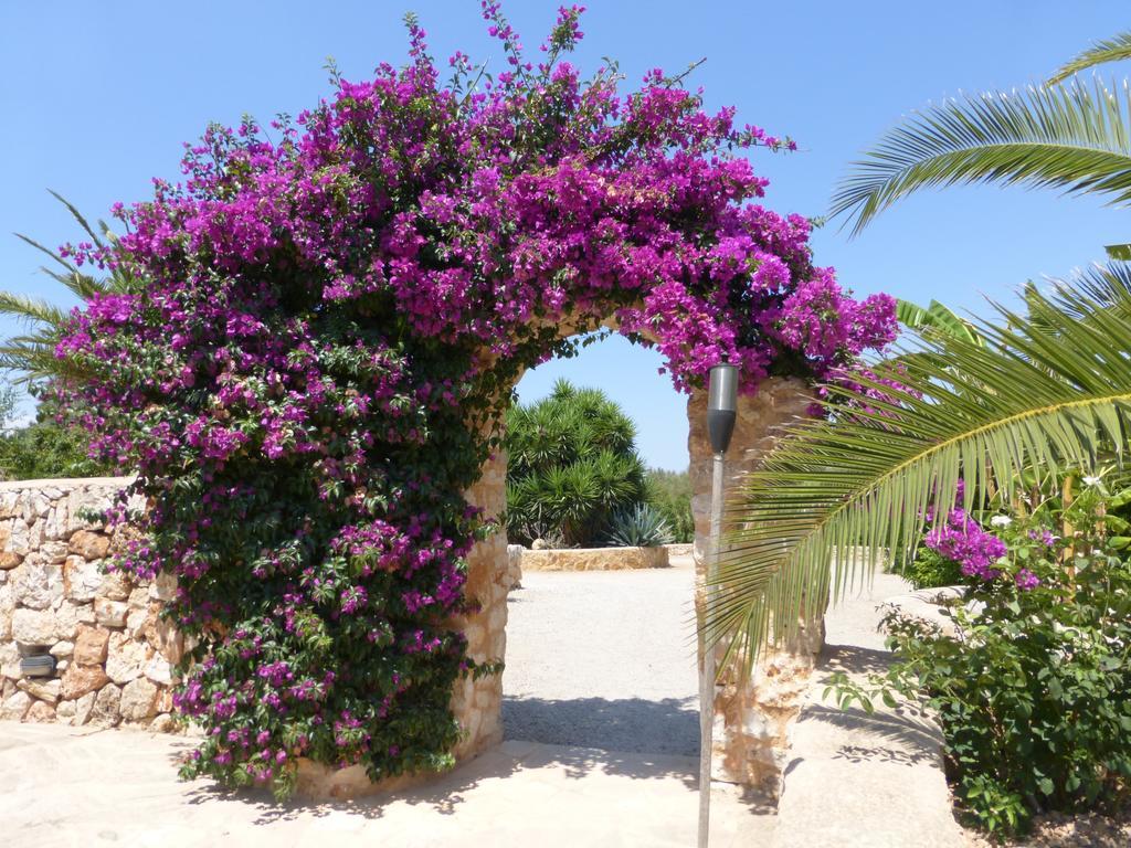 Hacienda D'armando Fenalitx (Fenalich)
