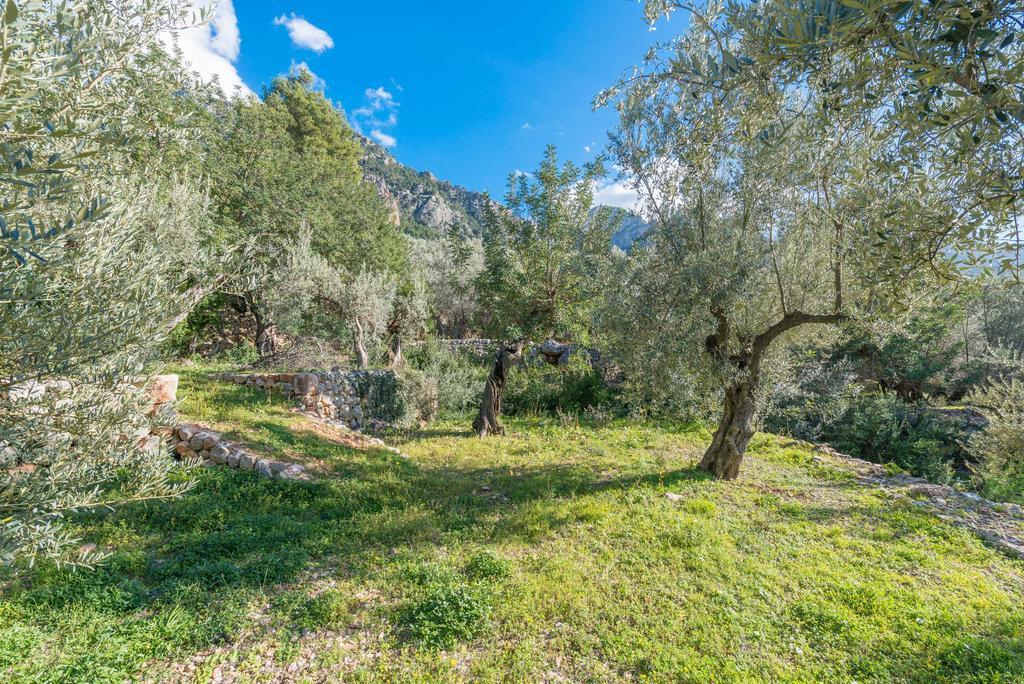 S'olivaret Villa