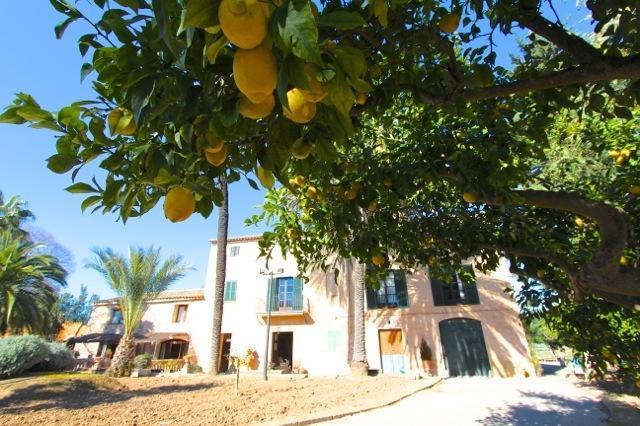 Finca Can Vich Сasa de vacaciones *