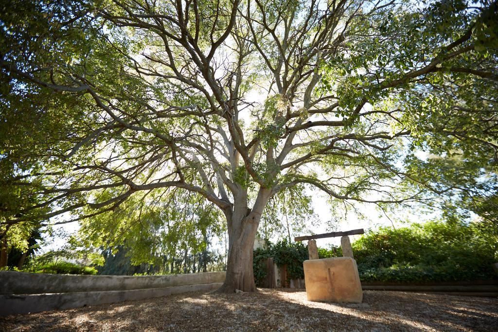 Finca Can Vich Сasa de vacaciones Palma de Mallorca