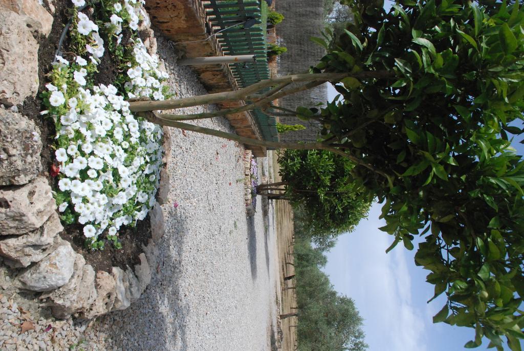 Mater Ses Oliveres Villa