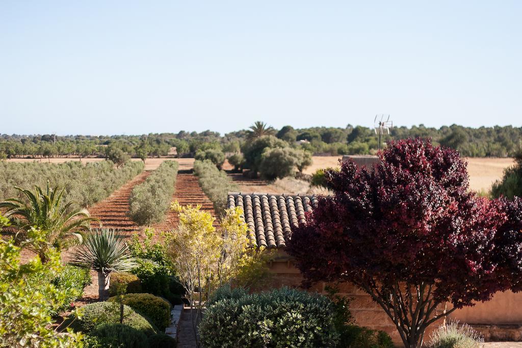 Carro * Campos (Mallorca)