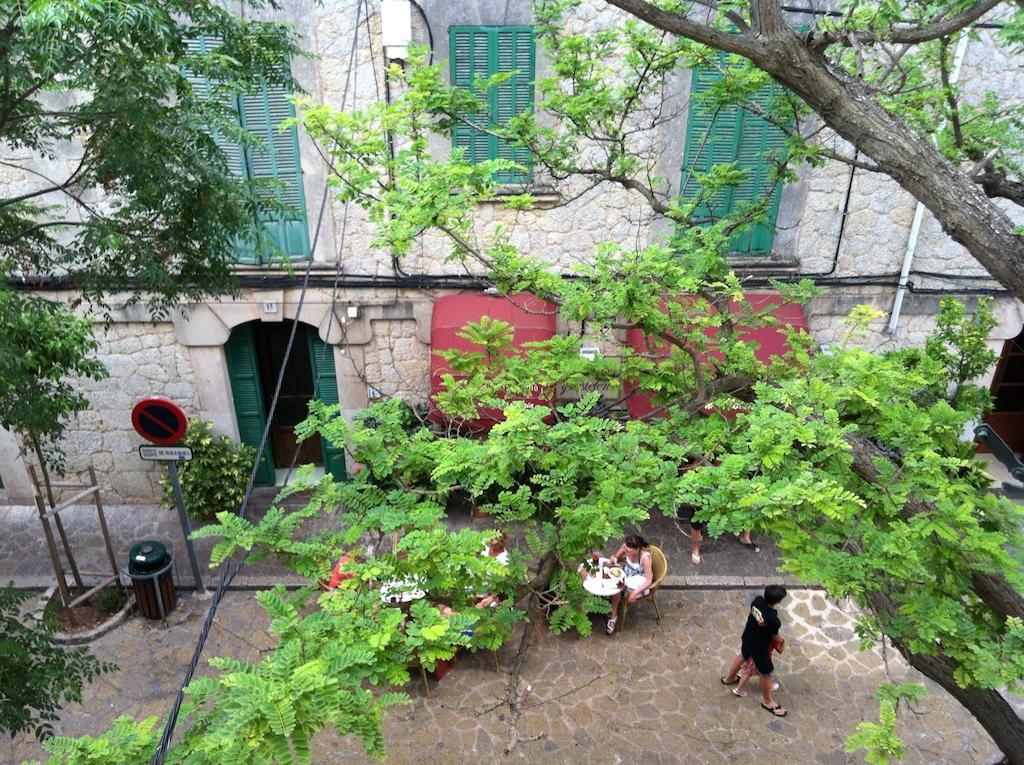 Allotjaments Serra De Tramuntana Bed and breakfast