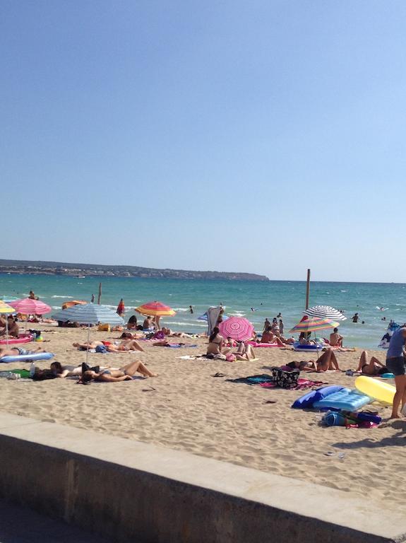 Alce Playa de Palma (Mallorca)