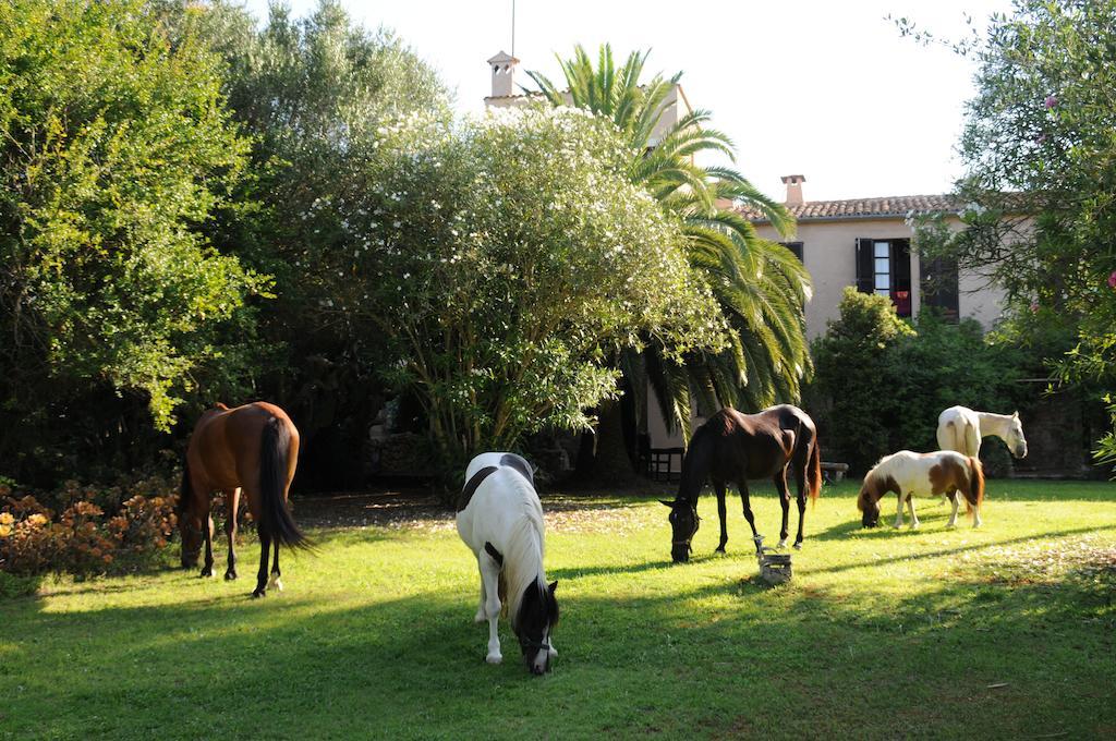 Farm stay Son Baulo *