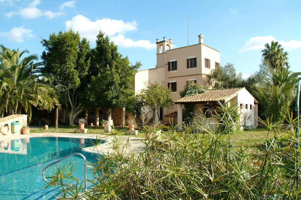 Farm stay Son Baulo Lloret de Vistalegre