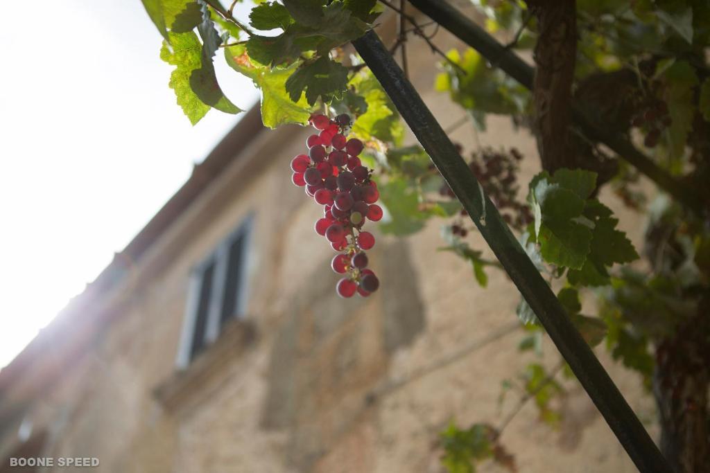 S'horabaixa Fenalitx (Fenalich)