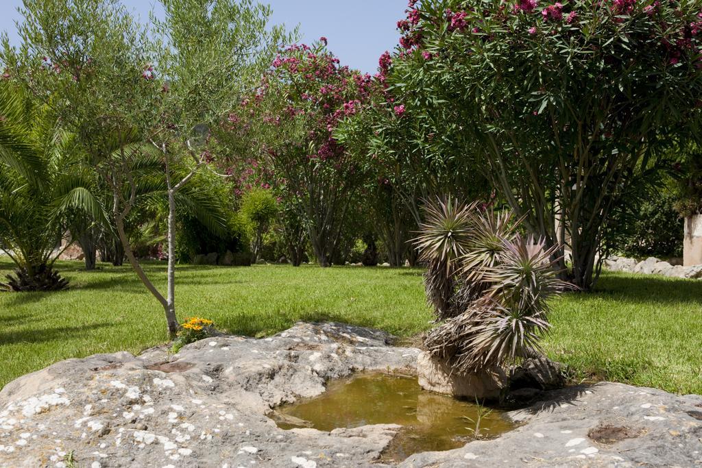 Casa rural Agroturismo Can Patro *