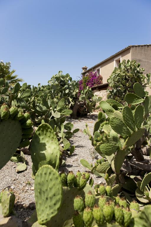 Casa rural Agroturismo Can Patro