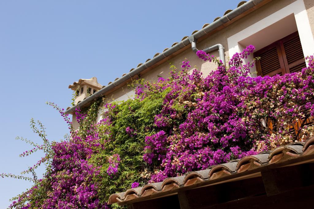 Casa rural Agroturismo Can Patro Manacor (Mallorca)