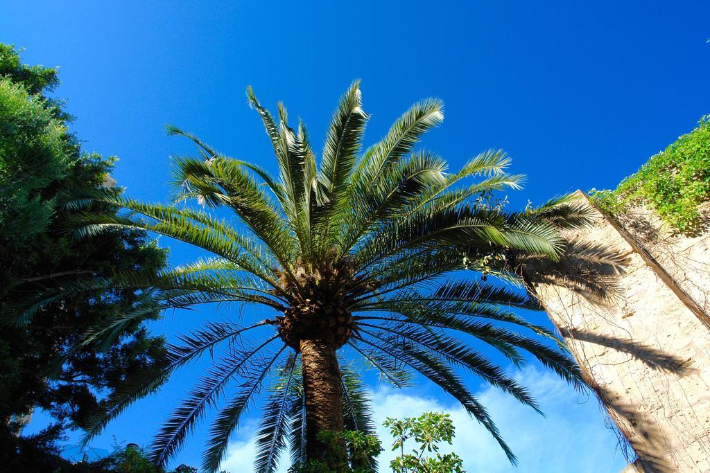 Сasa de vacaciones Ca'n Perlita Palma de Mallorca