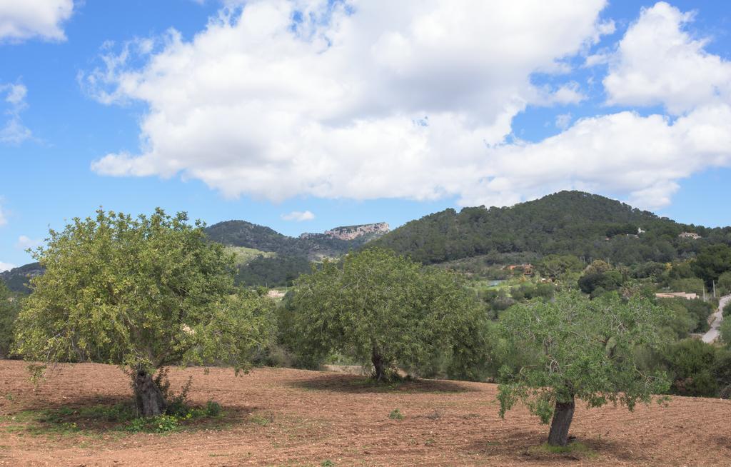Villa Batlet S'Horta
