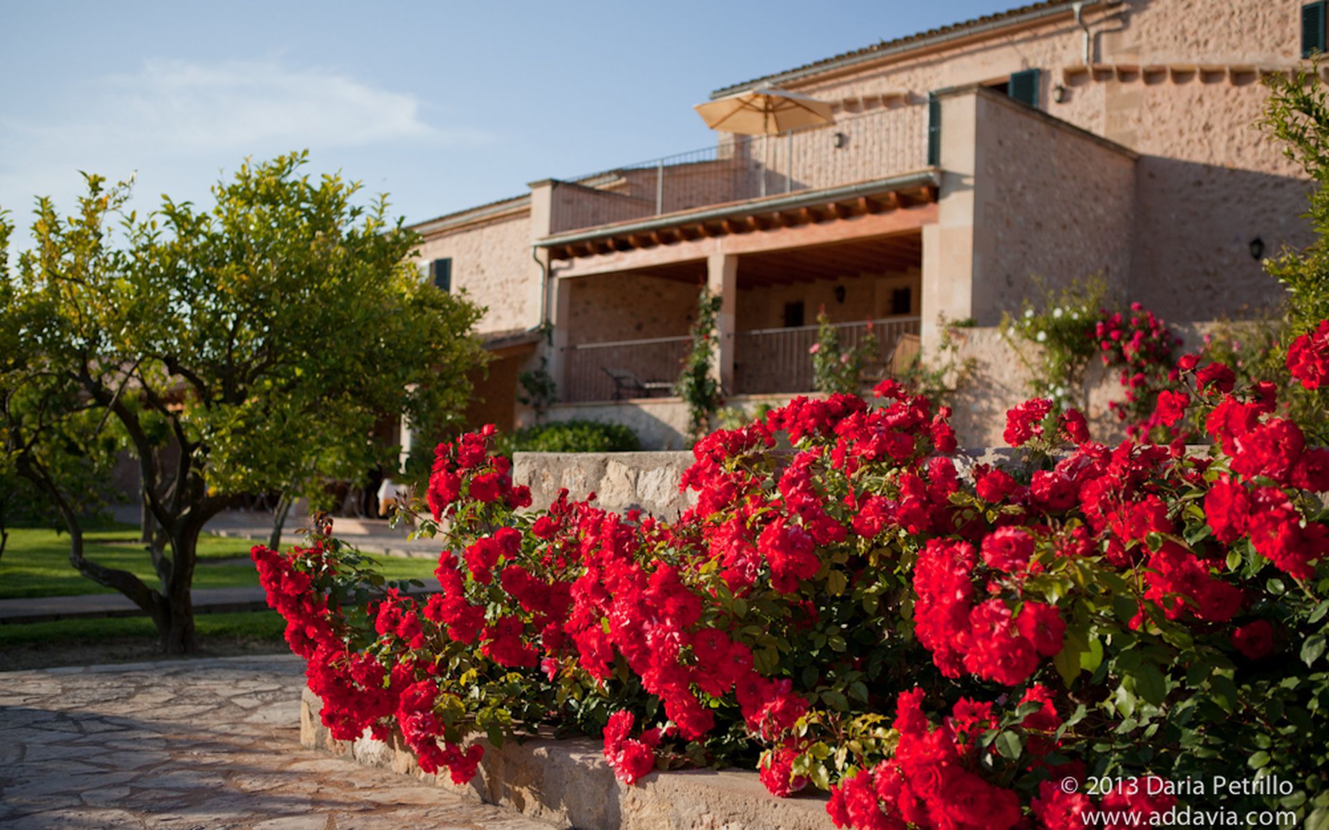 Hotel Son Roig