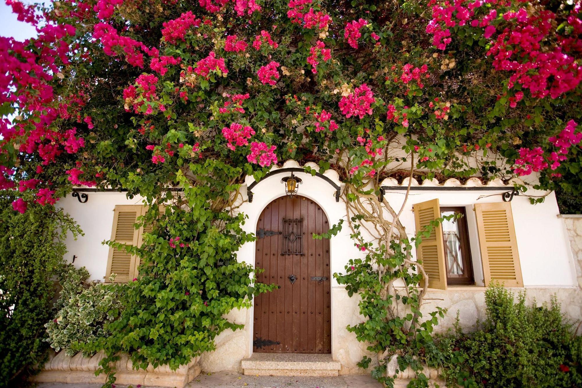 Sa Bassa Plana Cala Pi (Mallorca)