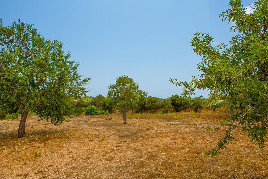 Villa Ses Aus