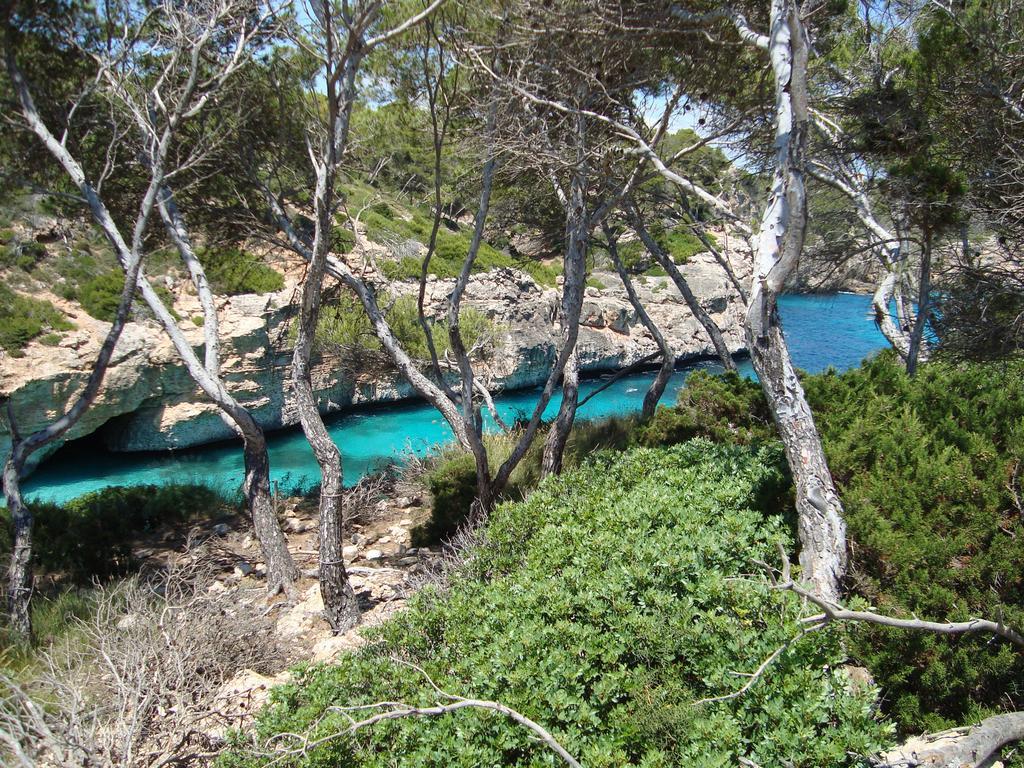 Marina D Or Cala D´Or