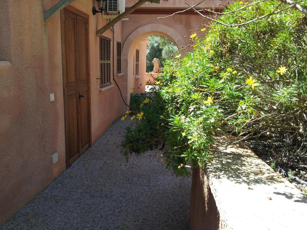 Farm stay Es Picot Son Macia (Mallorca)